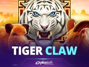 Tiger Claw icon