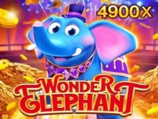 Wonder Elephant game icon